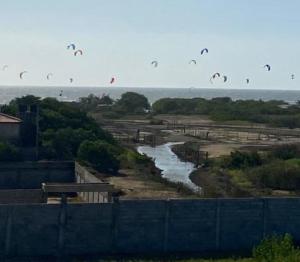 Salina de ReySalinas Del Rey Kite ApartaHotel的一群风筝在空中飞越河流