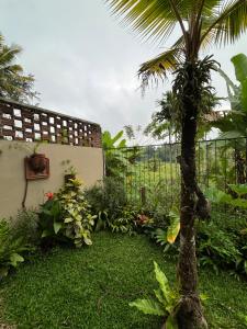 科伦坡Rai Villa Colombo的围栏旁种有棕榈树的花园
