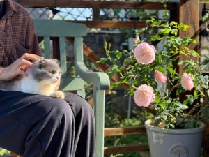 保禄HomeTa Homestay的坐在长凳上,抱着猫的人