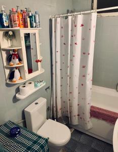 安卡拉Ankara Merkezde Piyanolu Daire的一间带卫生间和淋浴帘的浴室