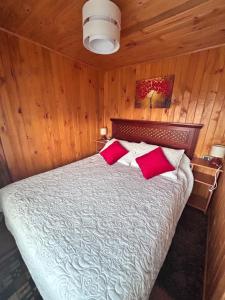 奥索尔诺Cabañas Emma Maicolpue的一间卧室配有红色枕头的床