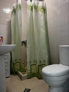 巴库里阿尼BOBLINE BAKURIANI SUITE的一间带卫生间和淋浴帘的浴室