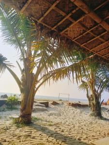 阿勒皮Havana Beach House的棕榈树海滩和排球