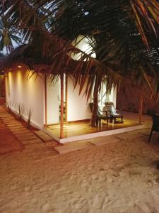 阿勒皮Havana Beach House的海滩上一棵棕榈树的房子