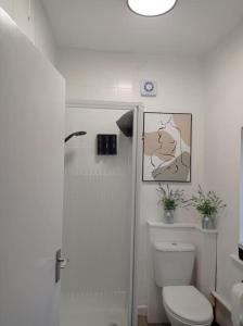 布里斯托North Street Flat的白色的浴室设有卫生间和淋浴。