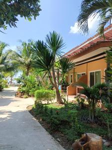 高兰海贝壳海滩度假村 的一条街道旁的棕榈树房子