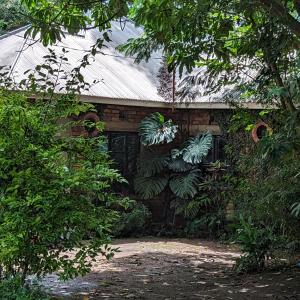 阿鲁沙Arusha Holiday Safari的砖砌的建筑,有门,有植物
