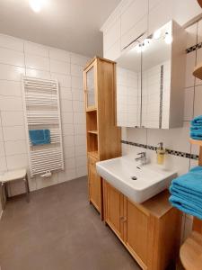 FerschnitzLandhaus Schaidreith的一间带水槽和镜子的浴室