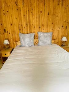 巴斯洛内特Chalet Barcelonnette - location saisonnière的卧室配有白色的木墙床