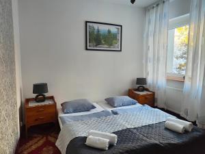 卡尔帕奇DW Agat的一间卧室设有两张床和窗户。