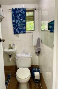 科罗尔Ngermid Oasis Cozy 2 BD 1BA Home, Scenic View, Secluded, Beautiful Location的一间带卫生间和水槽的小浴室
