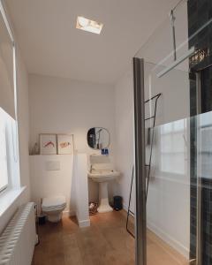尼乌波特Blauwe Huis B&B的一间带卫生间和水槽的浴室