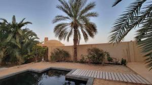 锡瓦WAFLA的一座带游泳池和两棵棕榈树的房子