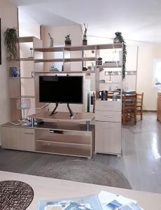 阿热莱斯加佐斯特Appartement en centre ville的娱乐中心设有带平面电视的客厅