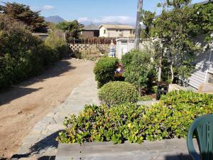 皮什丹吉Linda, cómoda y acogedora casa para 6的种有植物和石头步道的花园