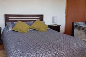 皮什丹吉Linda, cómoda y acogedora casa para 6的床上有两张黄色枕头