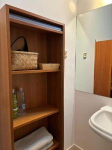 阿斯托恩Apartamento Astun的浴室内设有一个水槽和毛巾柜