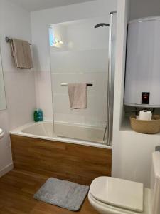 阿斯托恩Apartamento Astun的带淋浴、卫生间和盥洗盆的浴室