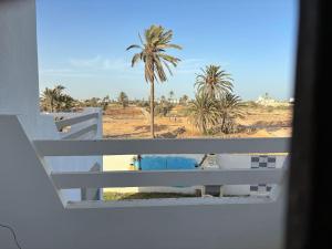 米多恩Villa luxe calme djerba的从窗口欣赏棕榈树的景色