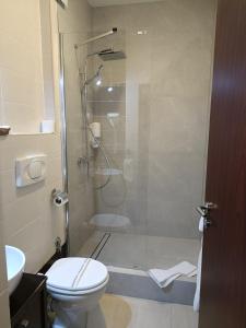 阿拉德马克西姆酒店的带淋浴、卫生间和盥洗盆的浴室