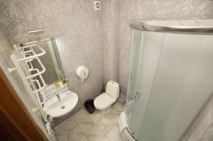 利沃夫Coin Hotel的一间带卫生间和水槽的小浴室