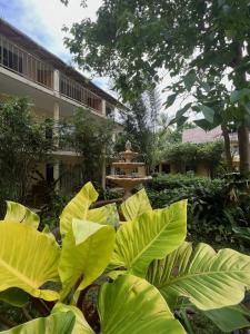 长滩岛Amor Double Room with Swimming Pool的一座花园,在一座建筑前种植了大型绿色植物