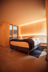 德普因-艾森伯格Wohnothek的一间卧室设有一张床和一个大窗户