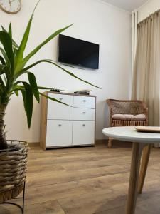 托伦Apartament Rubinowy的一间种植了植物的客厅和一台墙上的电视