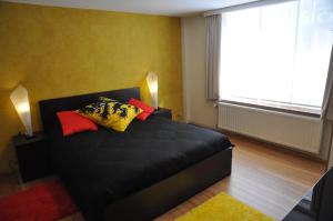 布鲁塞尔福利特之家公寓的一间卧室配有黑色床和色彩缤纷的枕头。