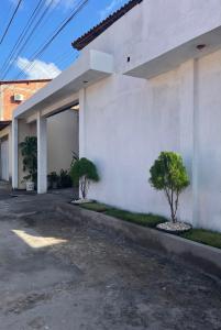 巴雷里尼亚斯Pousada Cactus的前面有两棵树的白色建筑