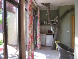 派尔努Apple Tree House的一间厨房,房间角落有棵树