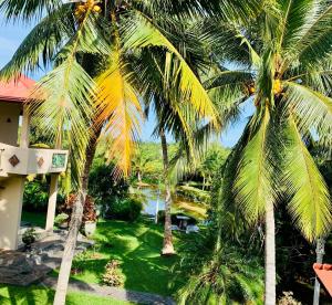 本托塔香格里兰卡别墅酒店的棕榈树度假村的景色