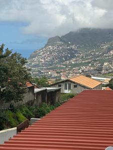 丰沙尔MADEIRA SHOPPING- 10min to Funchal的一条红地毯小径,山底