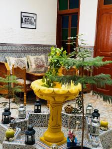 乌季达Dar Al Fassia的客房内的黄色喷泉,有树