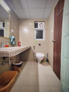 那格浦尔Symphony Apartments at MIHAN Nagpur的一间带水槽和卫生间的浴室