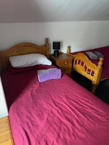 特威克纳姆The White Hart Inn的一间卧室配有两张床和粉色毯子