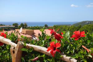 苏昂博Villas Menorca Sur的木栅上的一束红色花