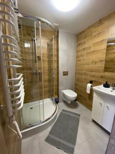 维斯瓦Pokoje Vik-House的带淋浴、卫生间和盥洗盆的浴室