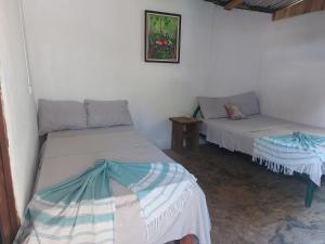 CabuyaAnez Cabin'S的一间设有两张床和一张桌子的房间