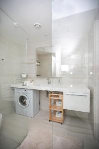 塔林Das Appartement Tallinn的一间带水槽和洗衣机的浴室