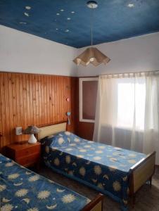 拉法尔达Encantadora Casa con parque的一间卧室设有两张床和蓝色的天花板