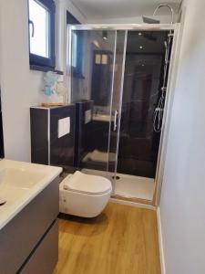 木洛希尼Luxury Mobile Home Kasthouse Oleander的一间带卫生间和玻璃淋浴间的浴室