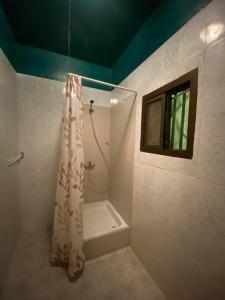 PamandziTropical House的带淋浴和浴帘的浴室