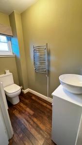 奥本Tobar Oisinn的一间带卫生间和水槽的浴室