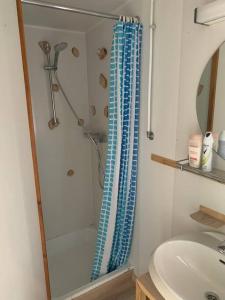 拉罗什-阿登Chalet hérisson的带淋浴和盥洗盆的浴室
