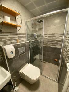 安塔利亚Apart Hotel Gvar的带淋浴、卫生间和盥洗盆的浴室