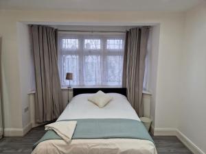 WansteadElegant 2-Bedroom Double En-Suite Flat - London的一间卧室设有一张大床和窗户