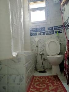 Qaryat ShākūshSpring house的一间带卫生间和窗户的浴室