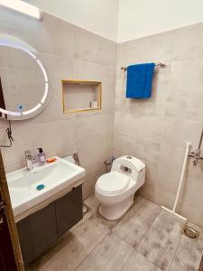 拉瓦尔品第Park View Residency的一间带卫生间、水槽和镜子的浴室