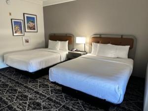 休斯顿休斯顿布什IAH南部拉金塔旅馆及套房的酒店客房,设有两张床和一盏灯